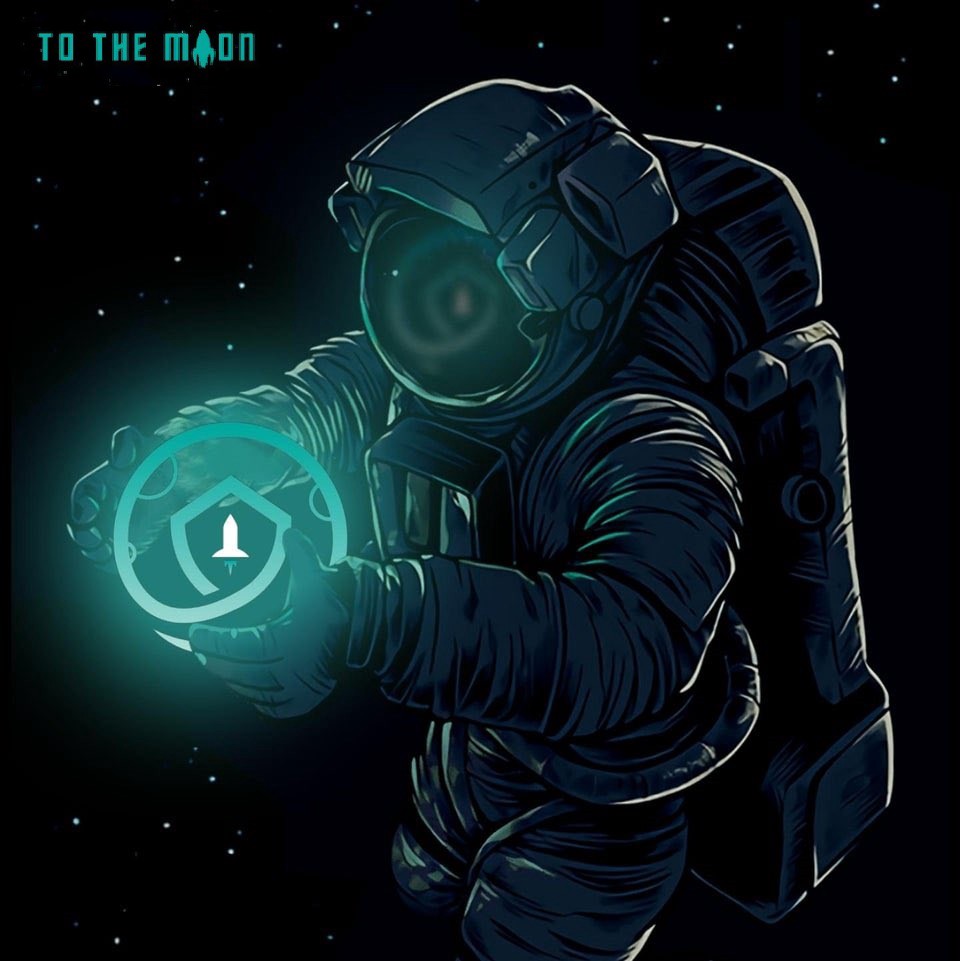 LToad21's tweet photo. @LBank_Exchange @safemoon #SafeMoon to the Moon! https://t.co/l9fHNDTjrV