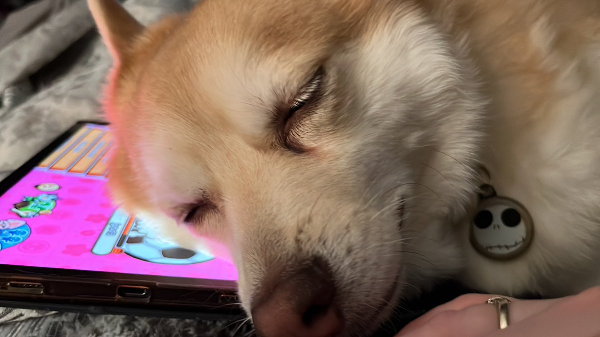 DPomsky's tweet photo. Glad we can always compromise ♥️ https://t.co/9Wu3luFEum