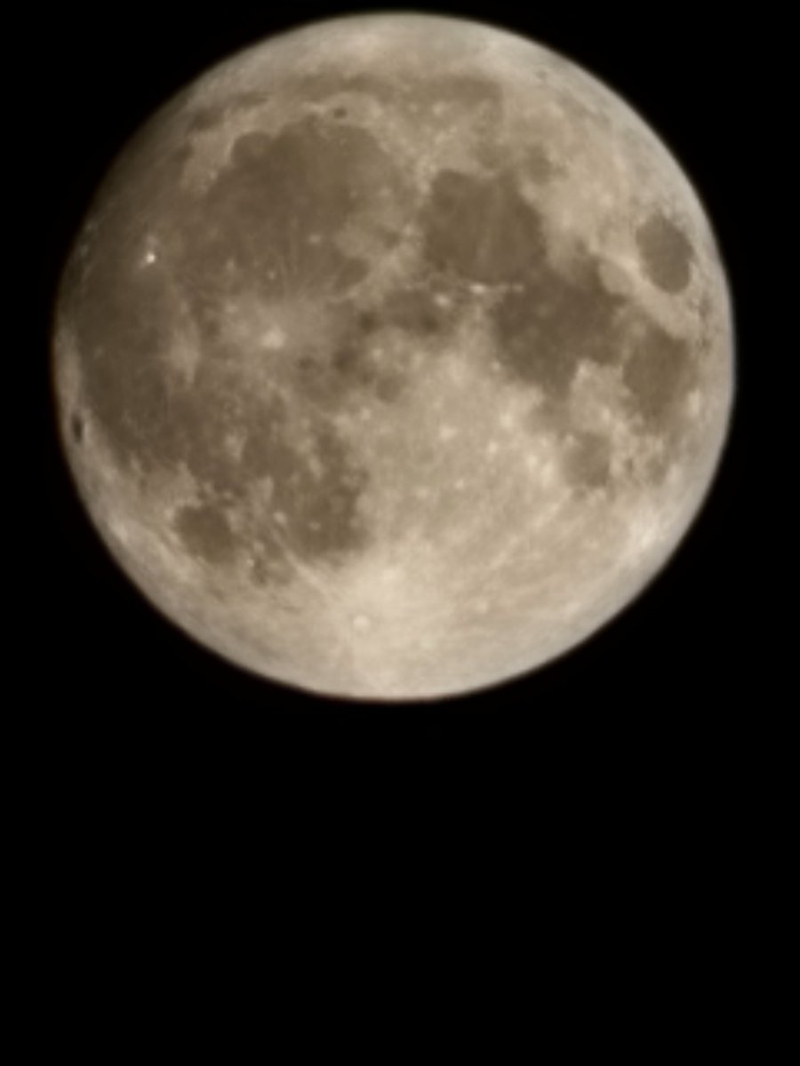 Tyson Fisher🚚🇺🇸📰 tweet media