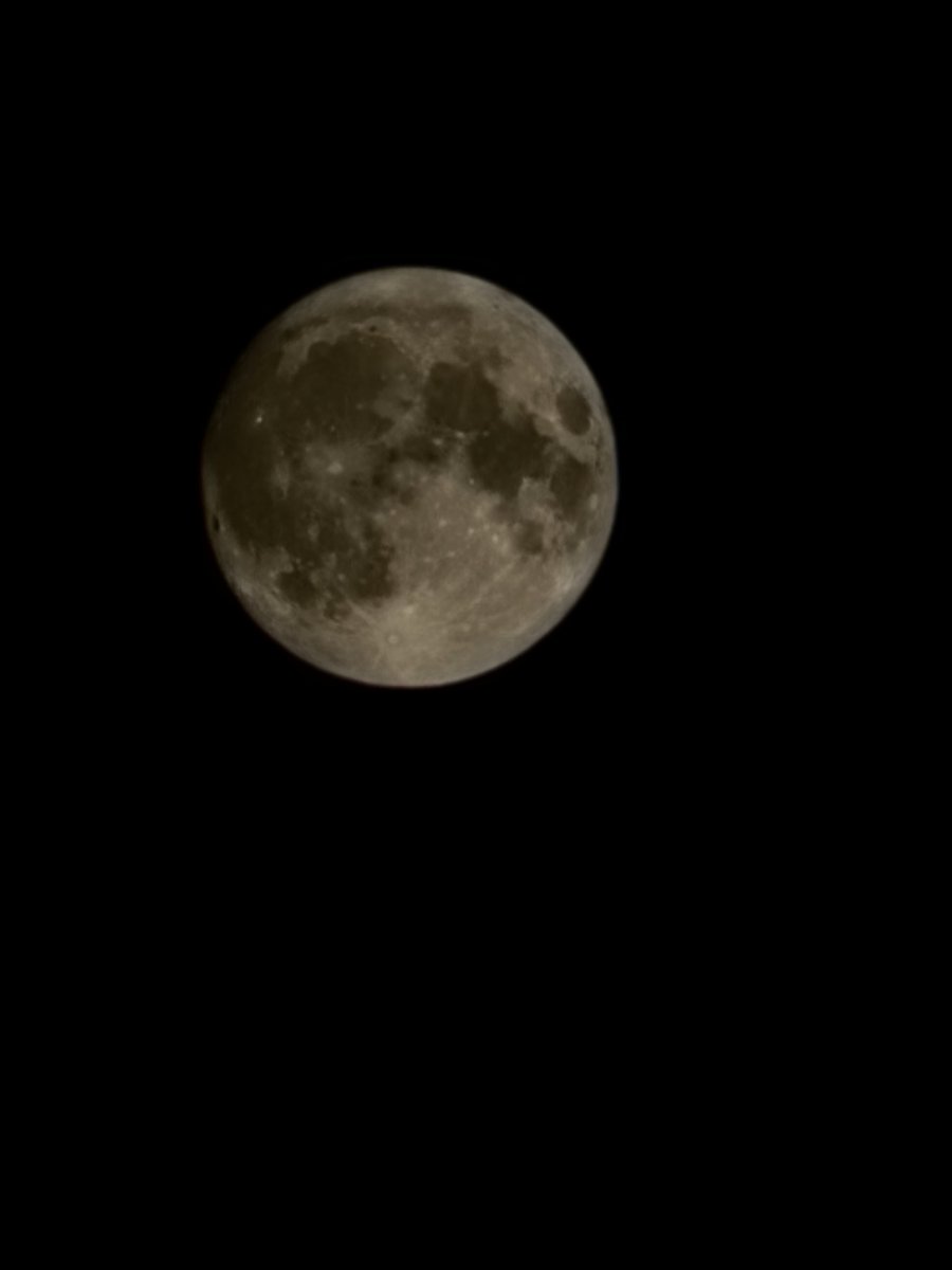 Tyson Fisher🚚🇺🇸📰 tweet media