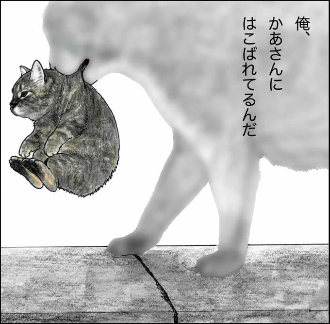 「夢で逢いましょう」のこうはんですよ。
「月刊つしま」は14ほんが『俺、つしまBOOK』におさめられています。
きょうはそのうらびょうしをのせますよ。
じゃあみなさん、くれぐれも雨にきおつけてください。 