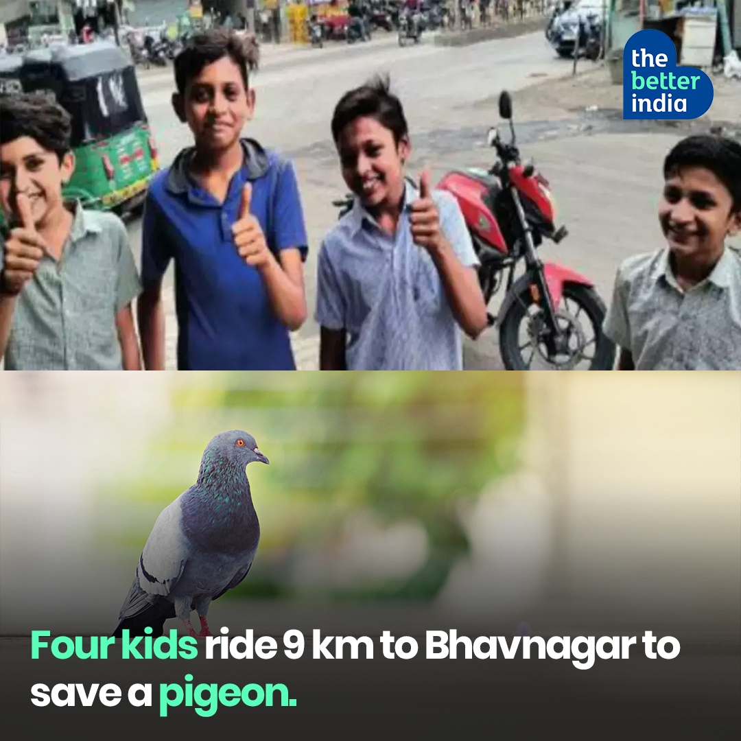 thebetterindia's tweet photo. Harshad Ravaliya, the vice-president of Nature Club in Bhavnagar, said: “We got information from a teacher that four students were coming with an injured pigeon. We were touched that these students rode such a long distance to save a common bird like pigeon.”
#PositiveInitiative https://t.co/lXjHhLob3a