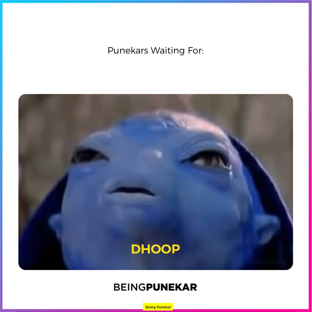 Being Punekar tweet media