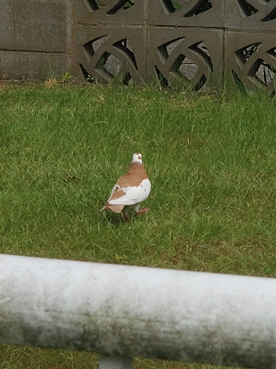 When house offered to kill Thirteen and when he went with Wilson and when saw Cuddy in the hospital and when he went with the woman after the accident and when he was there when Wilson donated half his liver I need someone to do that for me when my genes take over  my body lol