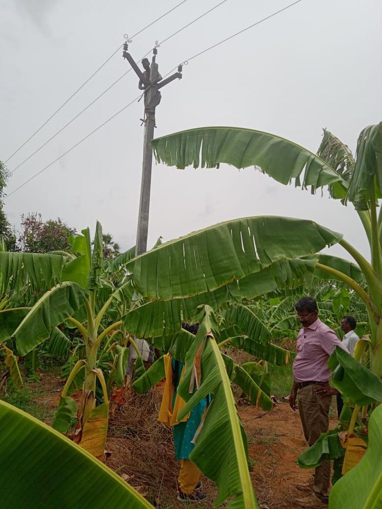TangedcoT's tweet photo. Sir,
*Circle:Tuticorin*
Date of maintenance: .12.07.22
8. Leaned poles-  56nos
9.AB switch maintenance-  4 nos 
10.Insertion of poles  -555nos
11. Structure maintenance-3 nos
12. Earthing / Guarding - 16nos

Total work completed - 2852nos  

SE/TEDC/TTN https://t.co/SyRE1oAB22