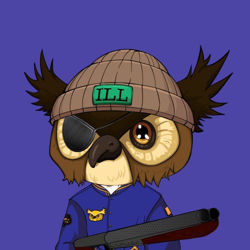 DocDinDoNun's tweet image. This week has been unreal for me all thanks to @illowlsVIP The luck of the fucking Irish was with me and I pulled 4/10 Hidden Gems in the mint winning me .04 ETH! Here’s 3 of my hidden gems plus my PFP #ETH #ETHNFTs #HootHoot