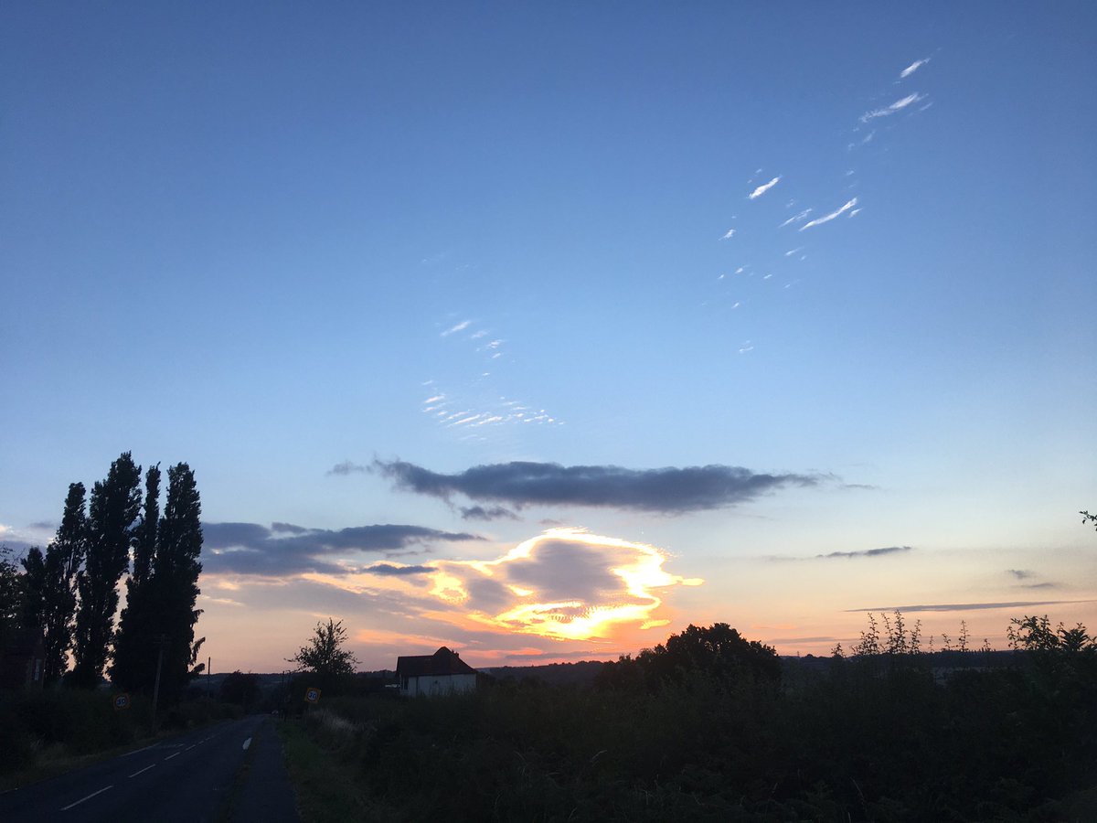 FloralRainbowAW's tweet photo. Warm & still #MorningWalk heard Chiffchaff, Whitethroat, Jackdaw, Blackbird & Pheasant, ‘all is safely gathered in’ #HayRolls zoom in on the third pic, Tawny owl sat on top 😊🦉🌤👒 https://t.co/v9ppTo4yDr