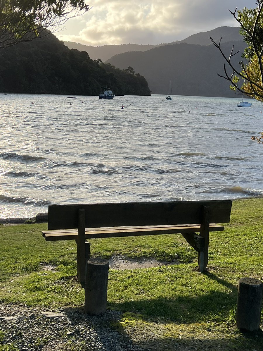 geraldleejordan's tweet photo. Ngākuta Bay on a very windy day on my bike. #cycling #bicycling #waitohi #picton #pictonnz #nz https://t.co/pgWlRM0ai2