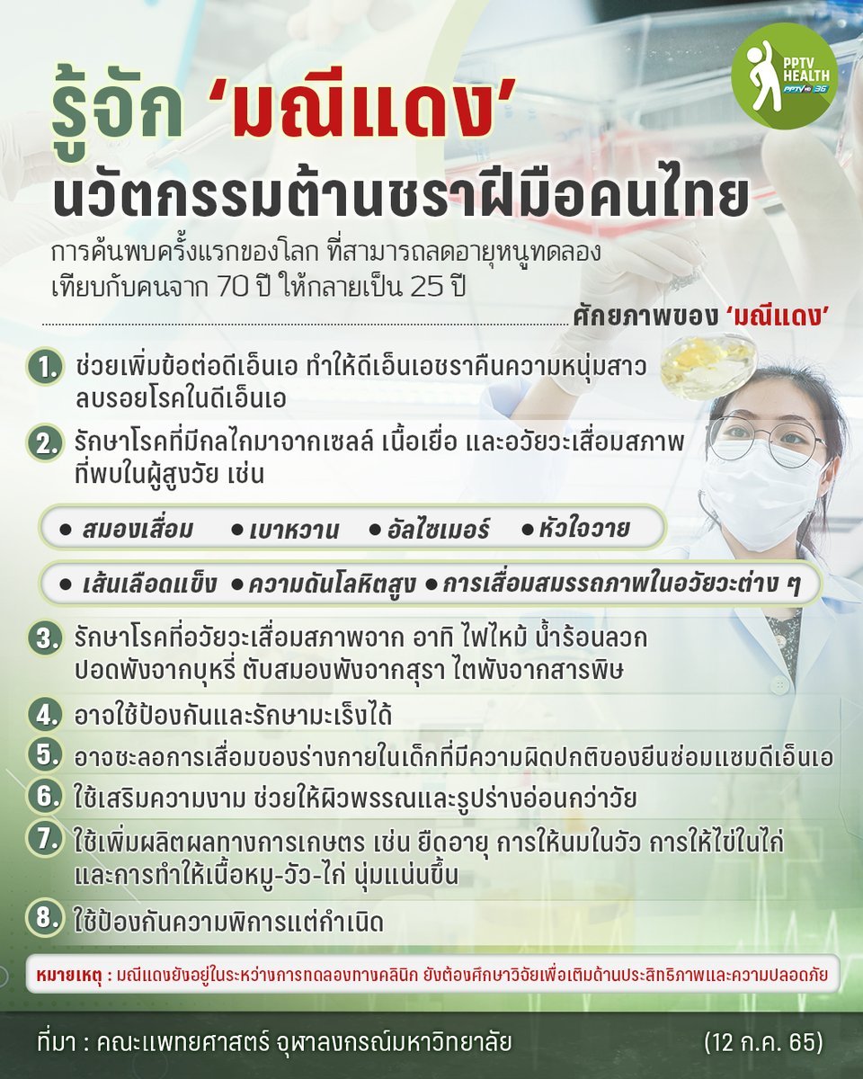PPTVHD36's tweet photo. ‘มณีแดง’ นวัตกรรมต้านชราฝีมือคนไทย ความหวังใหม่ครั้งแรกของโลก
อ่านเพิ่มเติม : https://t.co/KsEqUT2CSn
#PPTVHD36 #PPTVNews #ช่อง36 #เรื่องข่าวเรื่องใหญ่ #โมเลกุลมณีแดง #REDGEMs #จุฬาลงกรณ์มหาวิทยาลัย #นวัตกรรมต้านชรา #นวัตกรรมต้านชราฝีมือคนไทย https://t.co/IMCktpusQD