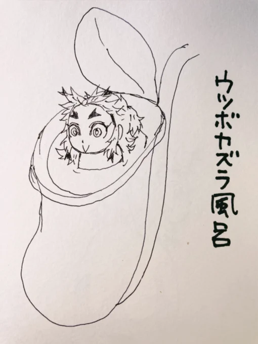 昼休みアナログは某植物の袋風呂に入るエンバシラヘラさんです(中身は安全なお湯です) 