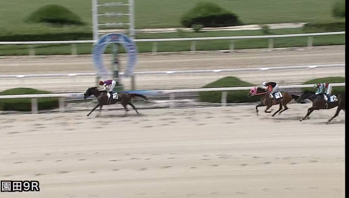 同厩チャチャヒメの勢いに乗りたい！  