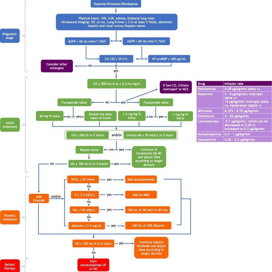 cardioteca's tweet photo. 🆕📌 Algoritmo esencial para el manejo de la congestión refractaria en el síndrome cardiorenal.
 
👉 Todo sobre el diagnóstico y tratamiento
👉 Y mucho más en...  🔓 https://t.co/Dwi0RYvljO
 
De @dianarodespi @JGuzmanBofarull @MartaFarrero @jbroseta @FMaduell https://t.co/BeAlkB7UuZ