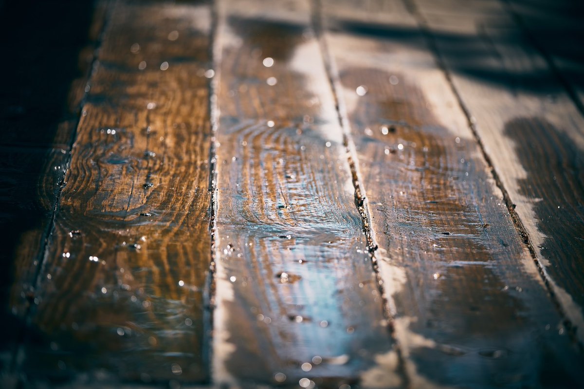 Wet wooden floor

📸 Fujifilm X-T3

📷 Fujinon XF 50-140mm F2.8 R LM OIS WR

⚙️ Distance 140.0 mm - ISO 160 - f/2.8 - Shutter 1/8000

#arbucies #laselva #wood #woodenfloor #wetfloor #wetwoodenfloor #woodwork #wooden #woodenarchitecture #architecture #photographer #photography