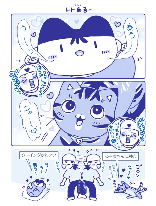 うちのトトはるーに可愛いさで競ってくる。どちらも甲乙つけ難し。 