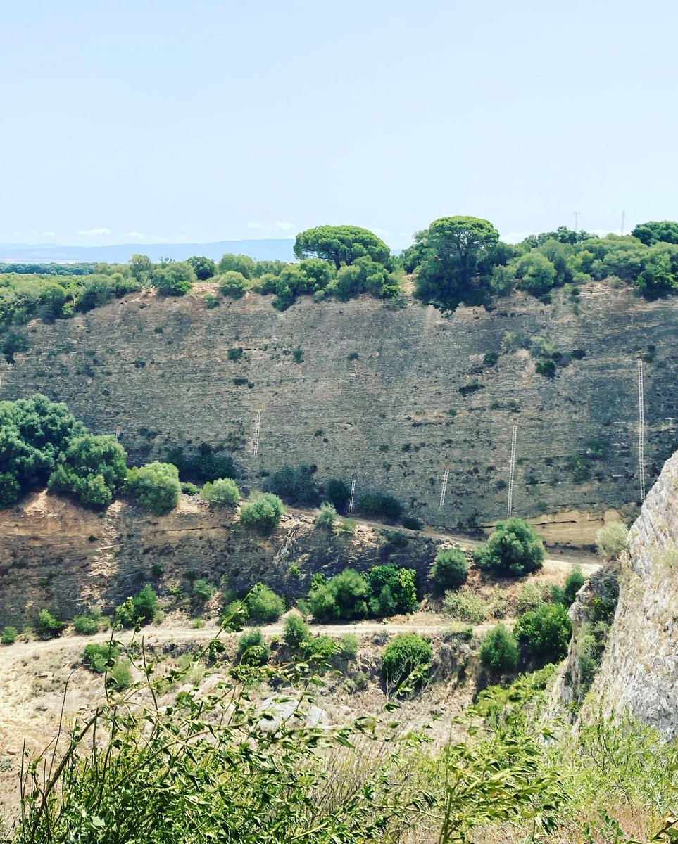 Highlights <a href="/montenmedio_art/">Fundación Montenmedio Contemporánea</a>: Puente by Shen Yuan (2004); James Turrell’s Second Wind (2005, 2009), in which swallows were nesting; Gunila Bandolin’s Sky Impression (2001), flickering shadows of trees, ice blue bee-eaters &amp; a leggy stork; Marina Abramović’s vertiginous Human Nests