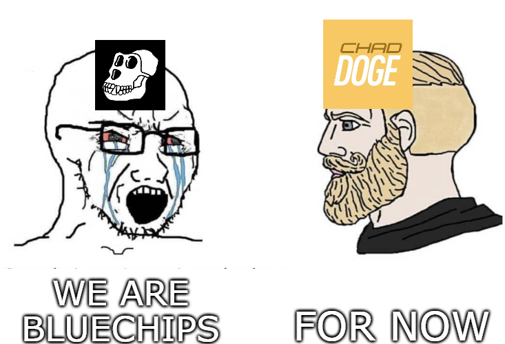MusicNFTsDegen's tweet photo. Hold my beer 

As @avaxchaddoge will go to the fckin moon

LFD!!!

#chaddoge #chaddogememe #chaddogememecontest #chaddogeavax #avaxnftszn https://t.co/fLjPbwp8kT