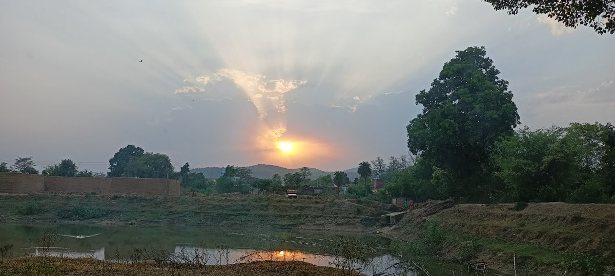 flo_card's tweet photo. There can't be a better teacher than nature. The Sanskrit word for teacher is "#Guru". This #GuruPurnima give back to nature by planting &amp; tagging a tree with @flo_card (link in bio). FloCard is for #sustainability &amp; #SDGs.

#NewIndia #teacher #Climate #Vedas #rain #Bitcoin https://t.co/PMgfbCpIF4