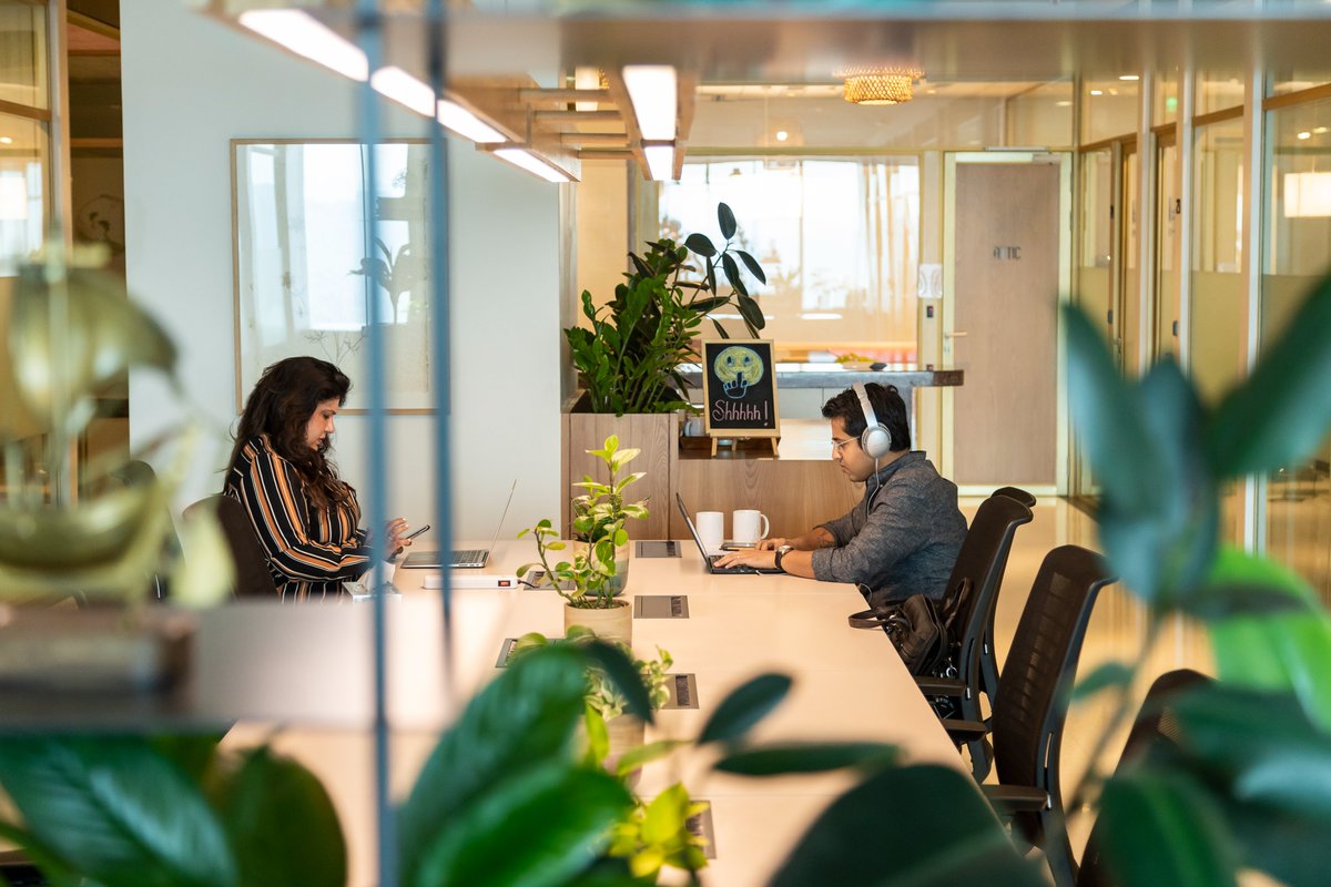 Dextrus Workspace tweet media