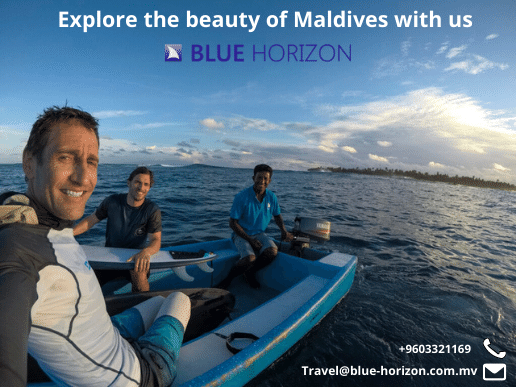 Go #surfing in one of the most beautiful locations on planet earth by booking your #surf_trips in the #Maldives with Blue Horizon Maldives. 

Surf With The Best Company!

Book now: wegosurf.com/maldives-surf-…
 
#wegosurf #maldivessurfingtrips  #surfinginmaldives  #surfwithus