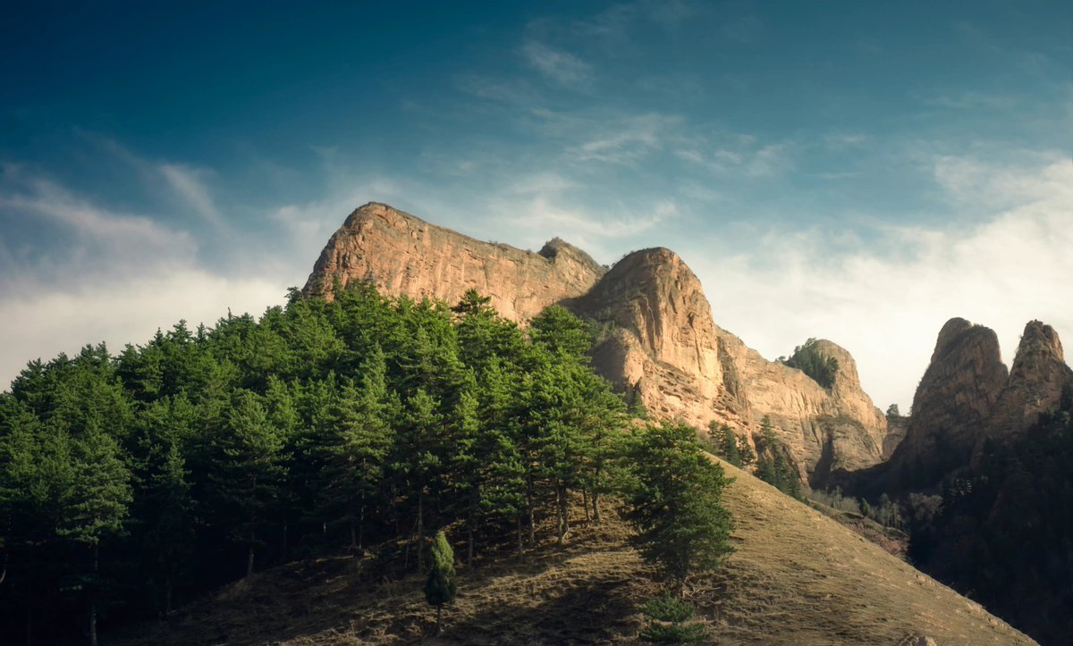 emartus_inc's tweet image. 📍 Cambra National Forest
📌 EMART 
📷Canon 6D2
⭕ f13 35mm
⚙️ ISO 100
🕛50/1 sec
____________________
#EMARTUS #photography #camerasetting #photodaily #cameragear #photo #ISO #Canon  #photographylovers #cinematography #cinematographer #cinematic #cinematicphotography #forest