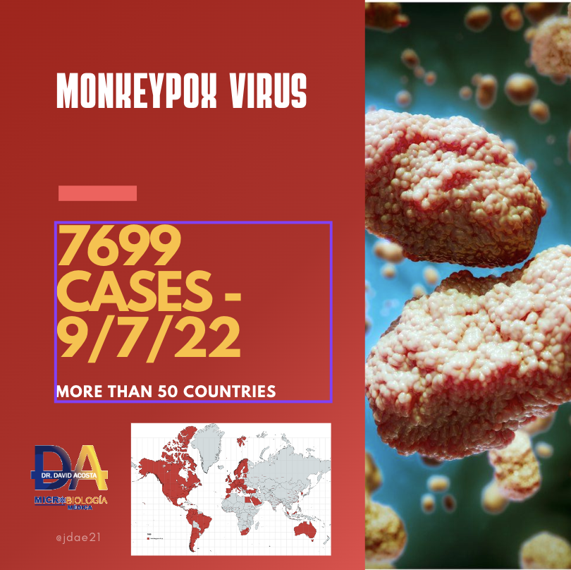 Did you know that there are more than 7699 cases of the monkeypox virus (9/07/22) in the world?
More than 50 countries have reported it.
The list is headed by Germany with 1,490 cases.
In Latin America: Ecuador, Brazil, Argentina, Chile, Peru Colombia, among others.
#Monkeypox https://t.co/QdcOqHaRa2