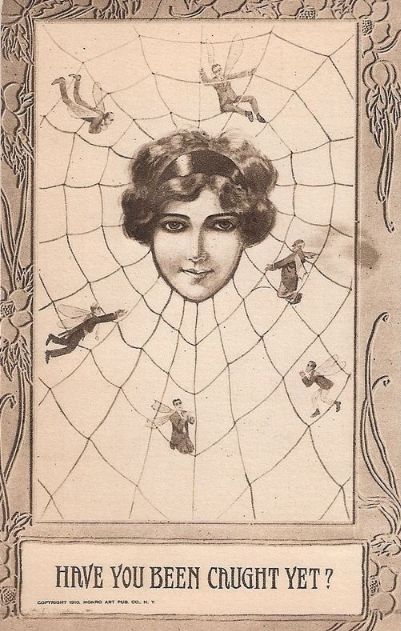Spider's Web 