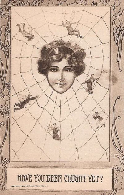 Spider's Web 