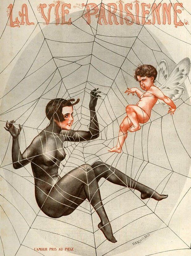 Spider's Web 