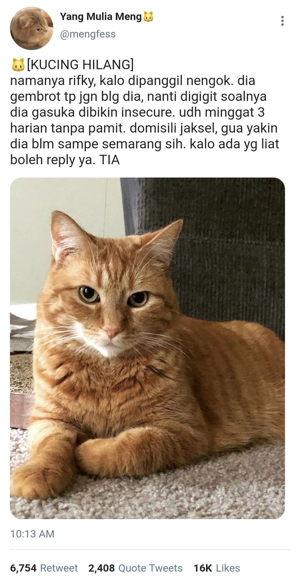 cheesyrain's tweet photo. Few tweets Gojohime / Gouta AU

"Kucing Hilang" https://t.co/1cUSYoP5Ew