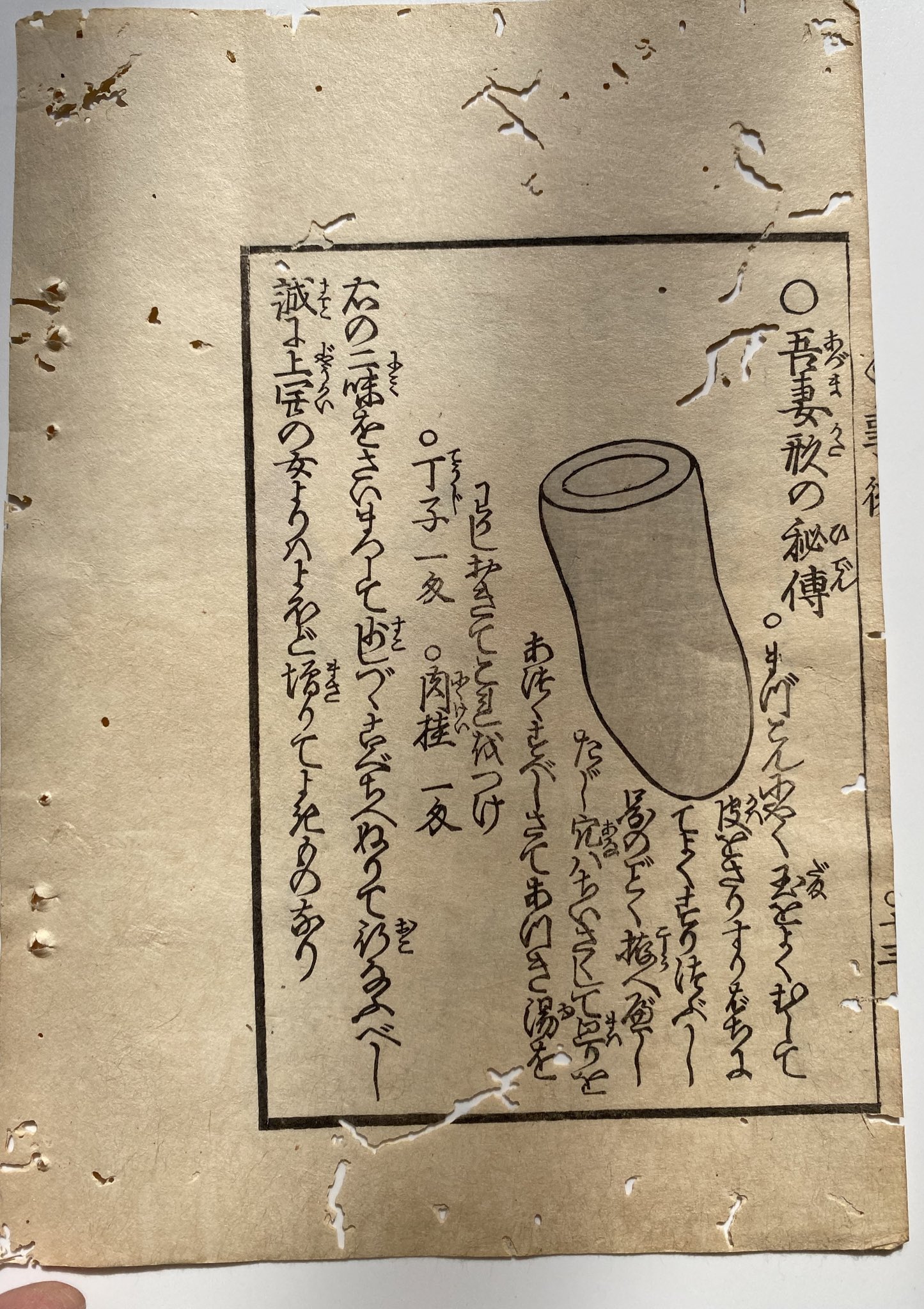 オナホコンニャク 江戸時代に出版されたオナホの作り方とその使い方が書かれた本。 オナホの素材はコンニャク 玉。蒸して成形し、そのなかに丁子や肉桂を入れて楽しむ。真桑瓜の端を切って中身をくり抜き、温めてもオナホになる。 布団をす ...
