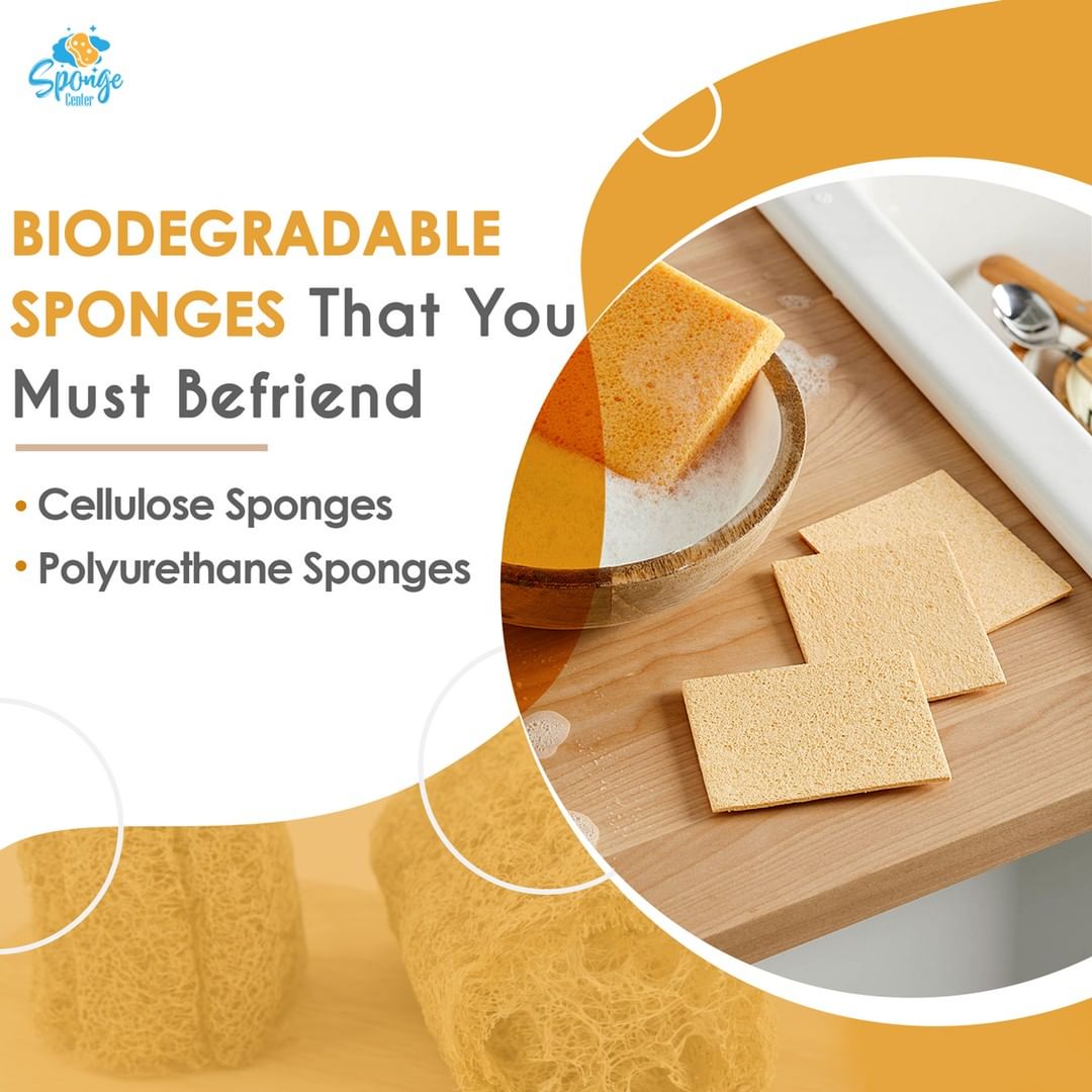 CenterSponge's tweet image. Keep your cleaning game on the notch without harming the environment. Shop with the biggest B2B Sponge Seller.

Shop Now: spongecenter.com

#SpongeCenter #SpongeManufacturers #HighQualitySponges #CelluloseSponge #BiodegradableSponges