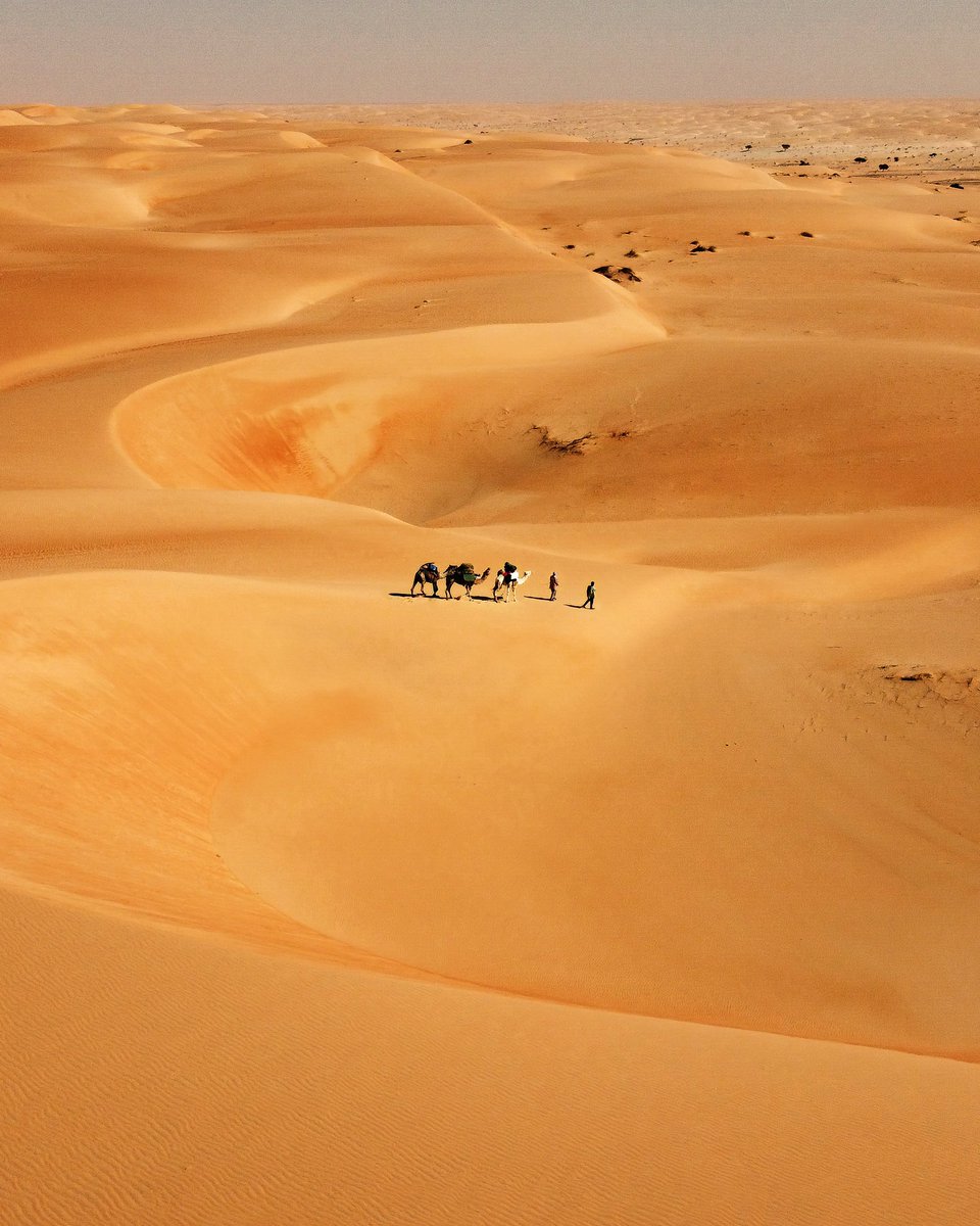 Giulio Aprin tweet media