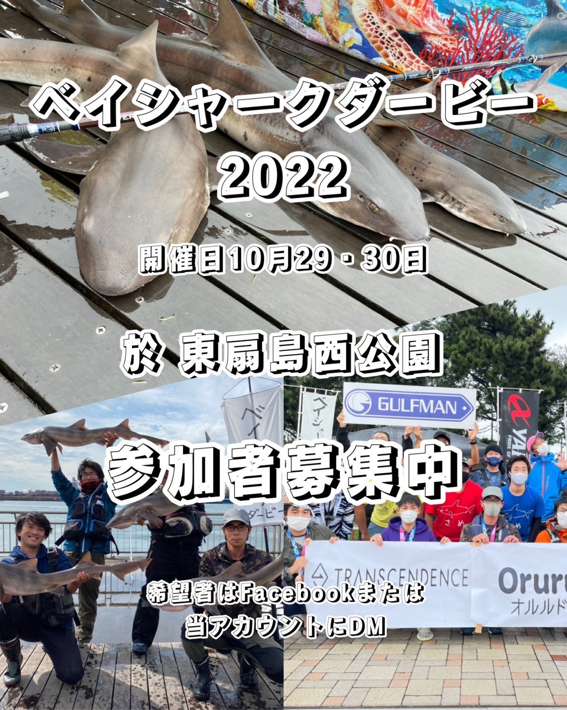 ベイシャークダービー公式 Bay Shark Twitter