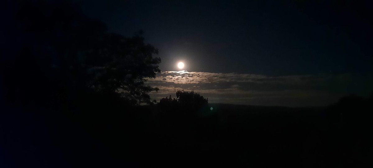 Moonlight from early this morning