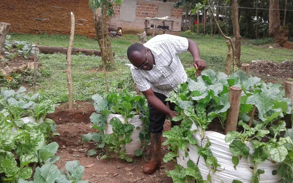 "To me, Ripple Effect means spreading life changing lessons to the less fortunate in our communities through various farm system activities in a sustainable manner.. it’s the perfect name to replace Send a Cow"

- Isaac Ogutu, Farm Systems Coordinator, talking about our new name