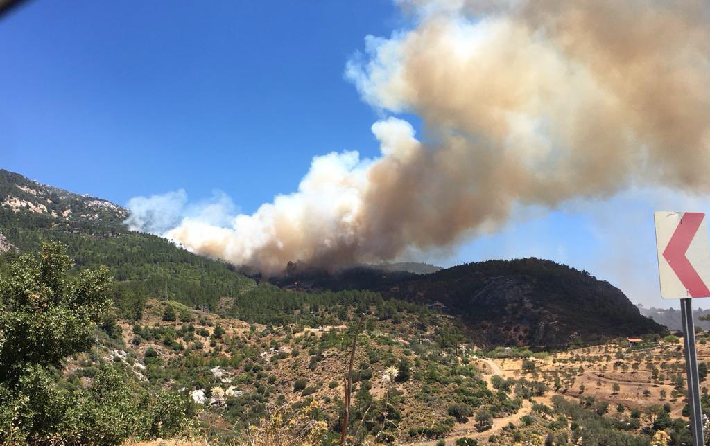 Geçmiş olsun #Datça 😔 Yine başladılar…