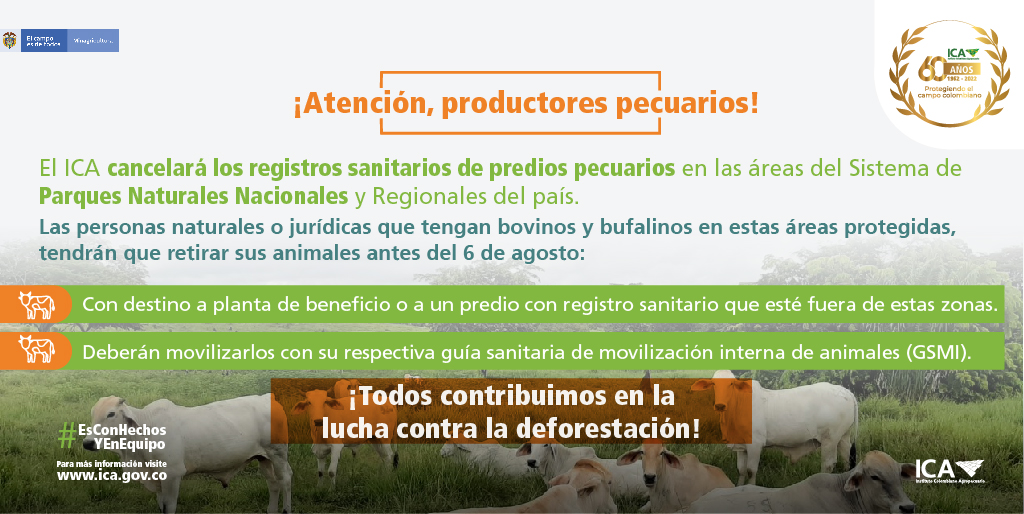 ICACOLOMBIA's tweet photo. #JuntosContraLaDeforestación || 🧑‍💻El ICA cancelará los registros sanitarios de predios pecuarios en las áreas del Sistema de Parques Nacionales Naturales de Colombia Así lo dio a conocer la entidad, a través de la resolución 007067 del 2 de mayo del 2022.📜✅

@ParquesColombia https://t.co/YWMAJC0YTV