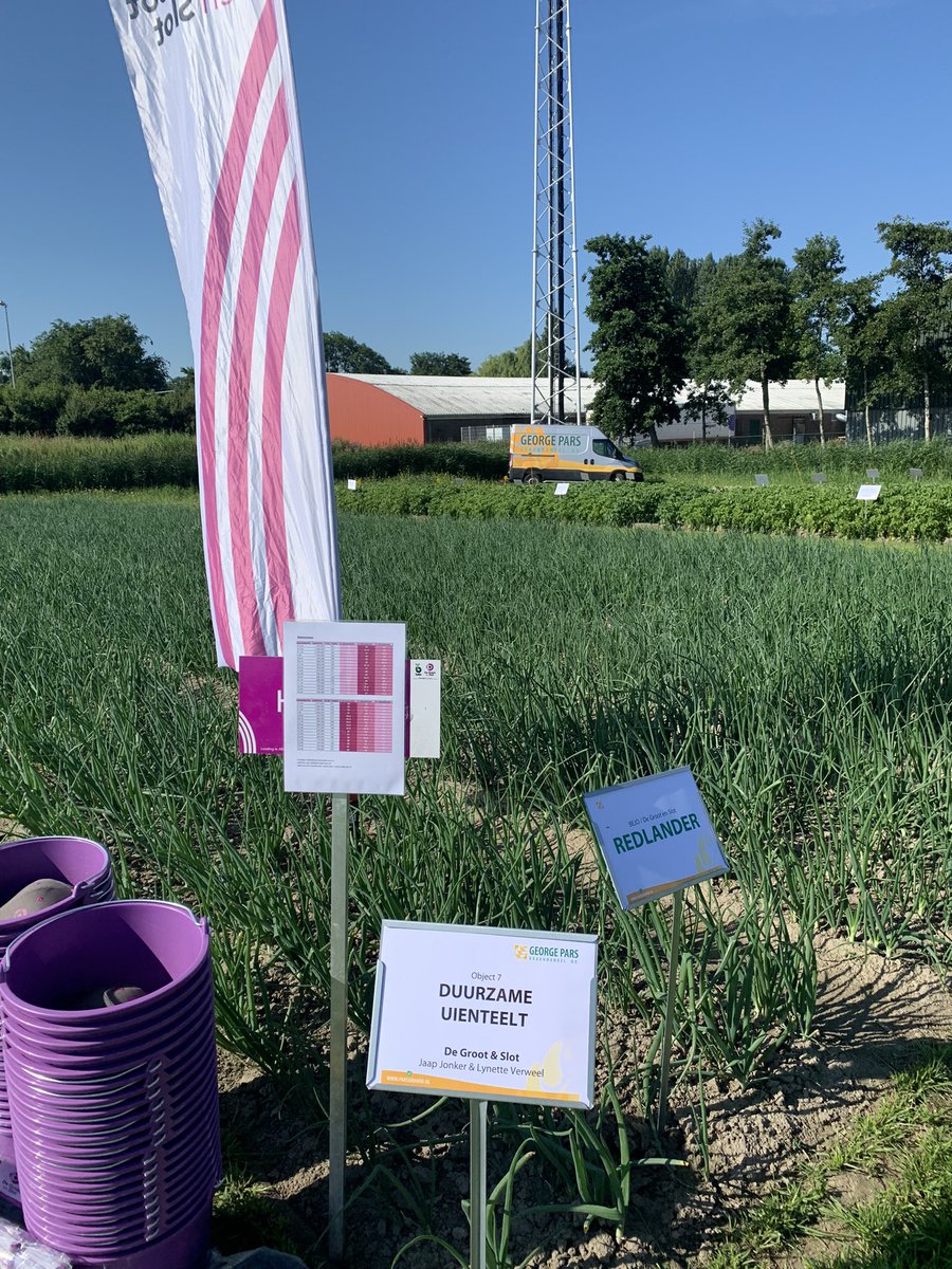Leuke interactie met telers uit #Friesland en #Groningen over #uien #siepels en toekomstgericht #duurzaam telen! <a href="/parsgranen/">Parsgranen</a> <a href="/DeGrootenSlot/">De Groot en Slot</a> <a href="/l_verweel/">Lynette Verweel</a>