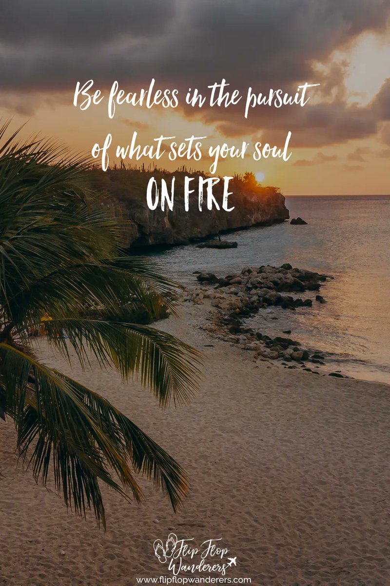 Flipflopwander's tweet photo. 🔥🔥 https://t.co/r40lWBpndf