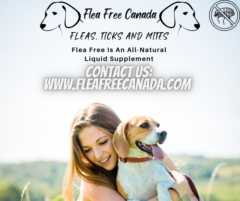 Flea Free Canada tweet media