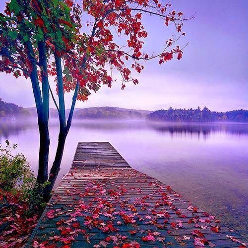 KBurkebooks's tweet photo. Where I'd rather be this Wednesday.
#KimberlyBurke #bookwormclub #readingclub2022 #wednesdaythoughts #humpday #wednesdaymotivation #wallpaperwednesday
#aestheticvacationvibes #beautifulplaces #idratherbehere #mentallyimhere #HappyWednesday https://t.co/M5Ldj3JayQ