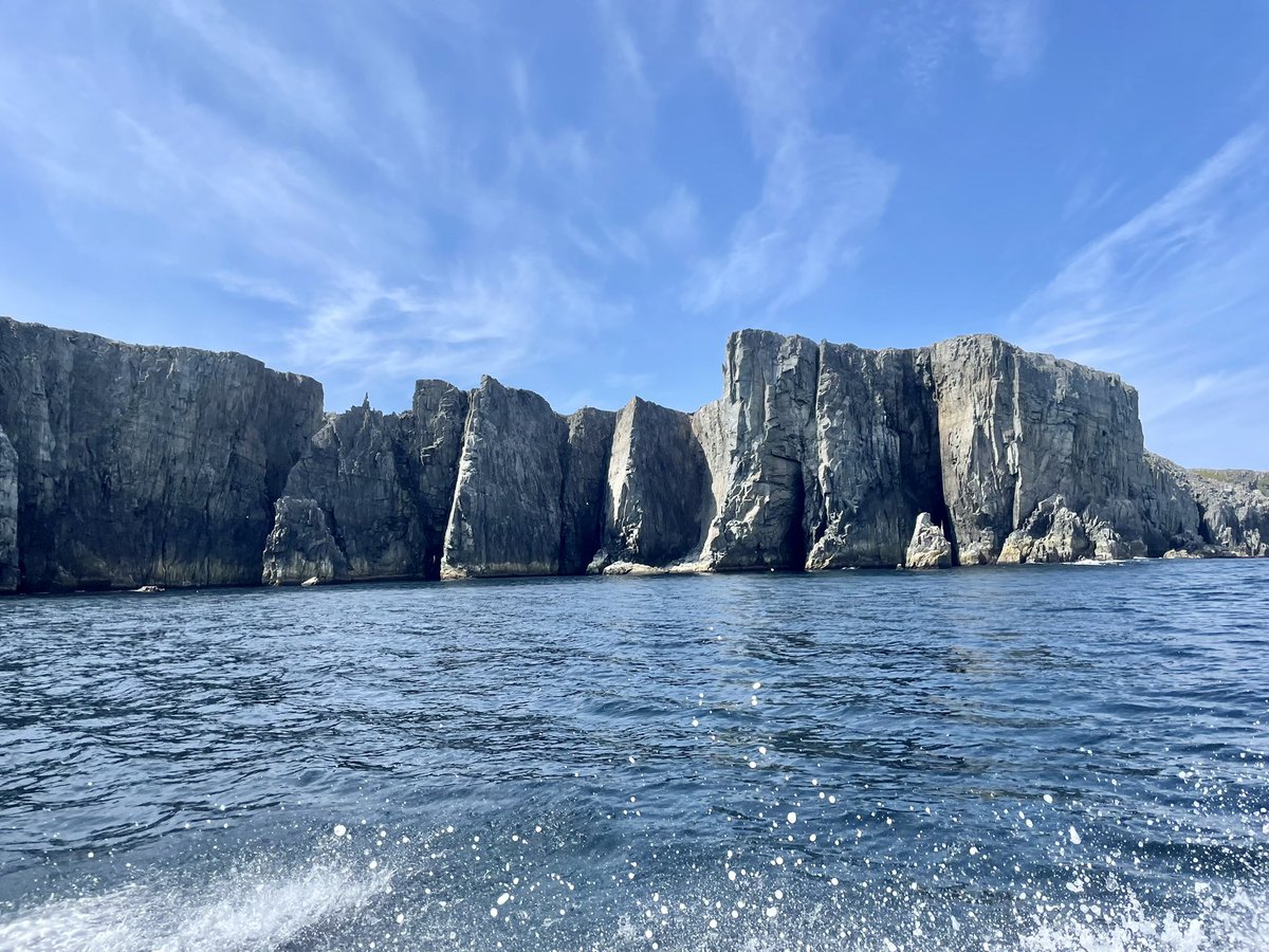 Cyndy Stead (@cyndystead) on Twitter photo It isnโt all about #whales #puffins #exploreNL #exploreCanada #LetsPlay #geology #rockformation #geologicalwonder #seastacks #seacaves <a href="/discoveryseabob/">Discovery Sea Adventure Tours</a> <a href="/TownofBonavista/">Town of Bonavista</a> <a href="/CanadaGeoparks/">The Canadian Geoparks Network</a> CanadaGeoparks #discoverythewonder #photography #love #travel It isnโt all about #whales #puffins #exploreNL #exploreCanada #LetsPlay #geology #rockformation #geologicalwonder #seastacks #seacaves <a href="/discoveryseabob/">Discovery Sea Adventure Tours</a> <a href="/TownofBonavista/">Town of Bonavista</a> <a href="/CanadaGeoparks/">The Canadian Geoparks Network</a> CanadaGeoparks #discoverythewonder #photography #love #travel