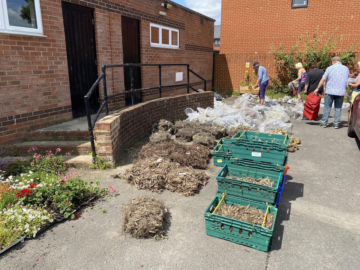 gale_mark's tweet photo. Free bedding plants &amp; perennial’s for Gloucester residents &amp; community groups at Matson Baptist Church donated by @hayloftplants today 10-2 Friday 10-12 #growingcommunities @GlosGateway https://t.co/pvnH4FE3Qj