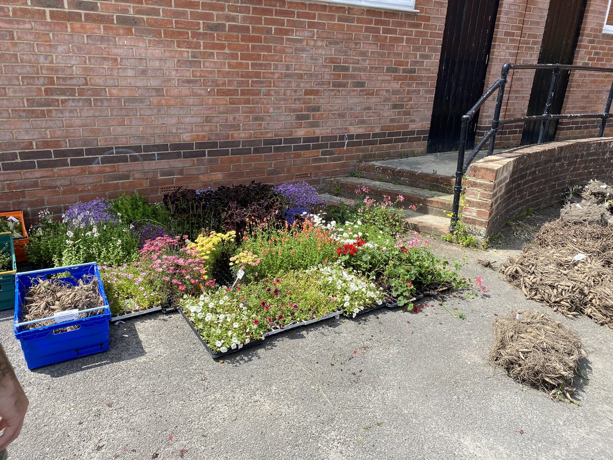 gale_mark's tweet photo. Free bedding plants &amp; perennial’s for Gloucester residents &amp; community groups at Matson Baptist Church donated by @hayloftplants today 10-2 Friday 10-12 #growingcommunities @GlosGateway https://t.co/pvnH4FE3Qj
