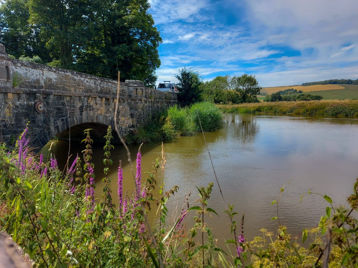 Sun ✅ Food &amp; Drink ✅ Boats &amp; Bikes ✅ Family Fun ✅

With the continuing gorgeous weather this week, come &amp; join us for a great family day out. 😎🌞

#boats #bikes #food #drink #familyfun #familytime #sunshine #heatwave #sussex