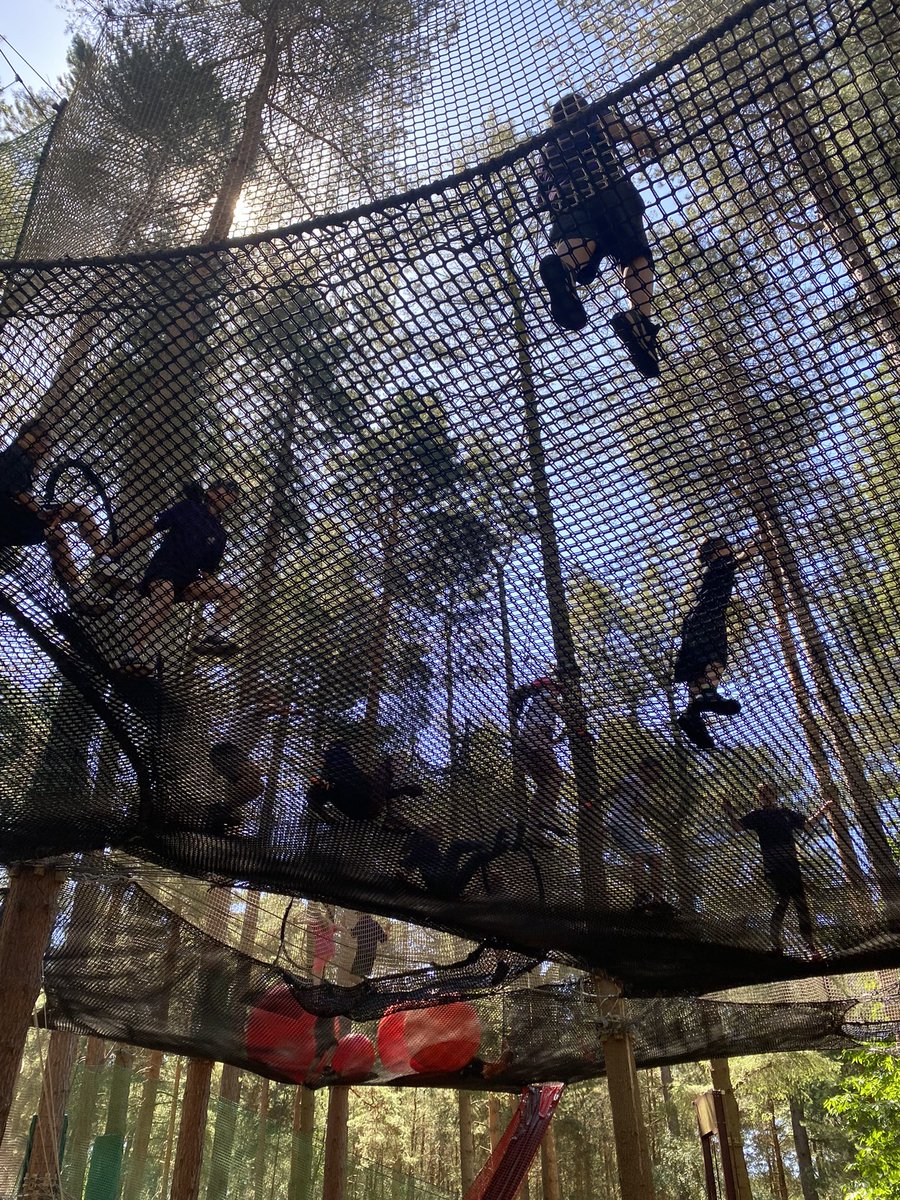 MansfieldGAT's tweet photo. After a lovely lunch in the sunshine the children are having a blast on the nets! @GoApeTribe #experiences https://t.co/XGpRx7Dz1m