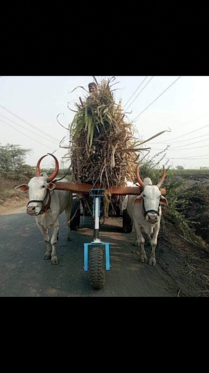 Rajkumar_Rathor's tweet photo. Desi jugaad always works 🤪 @Akshay37 @gouravguptac @dhavalradia @luniapalash https://t.co/itLkFQd6EP