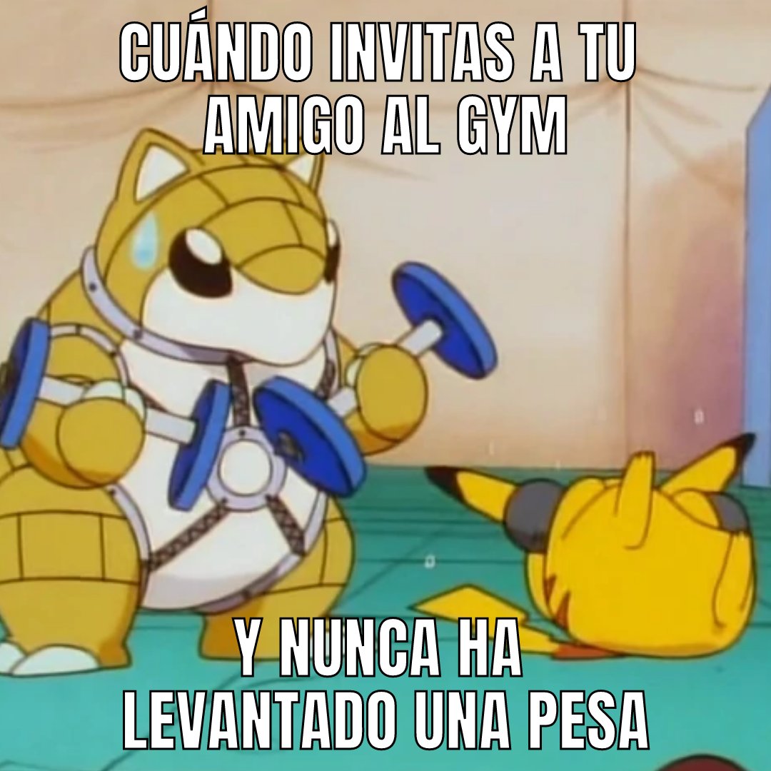 Mundo Fitness tweet media