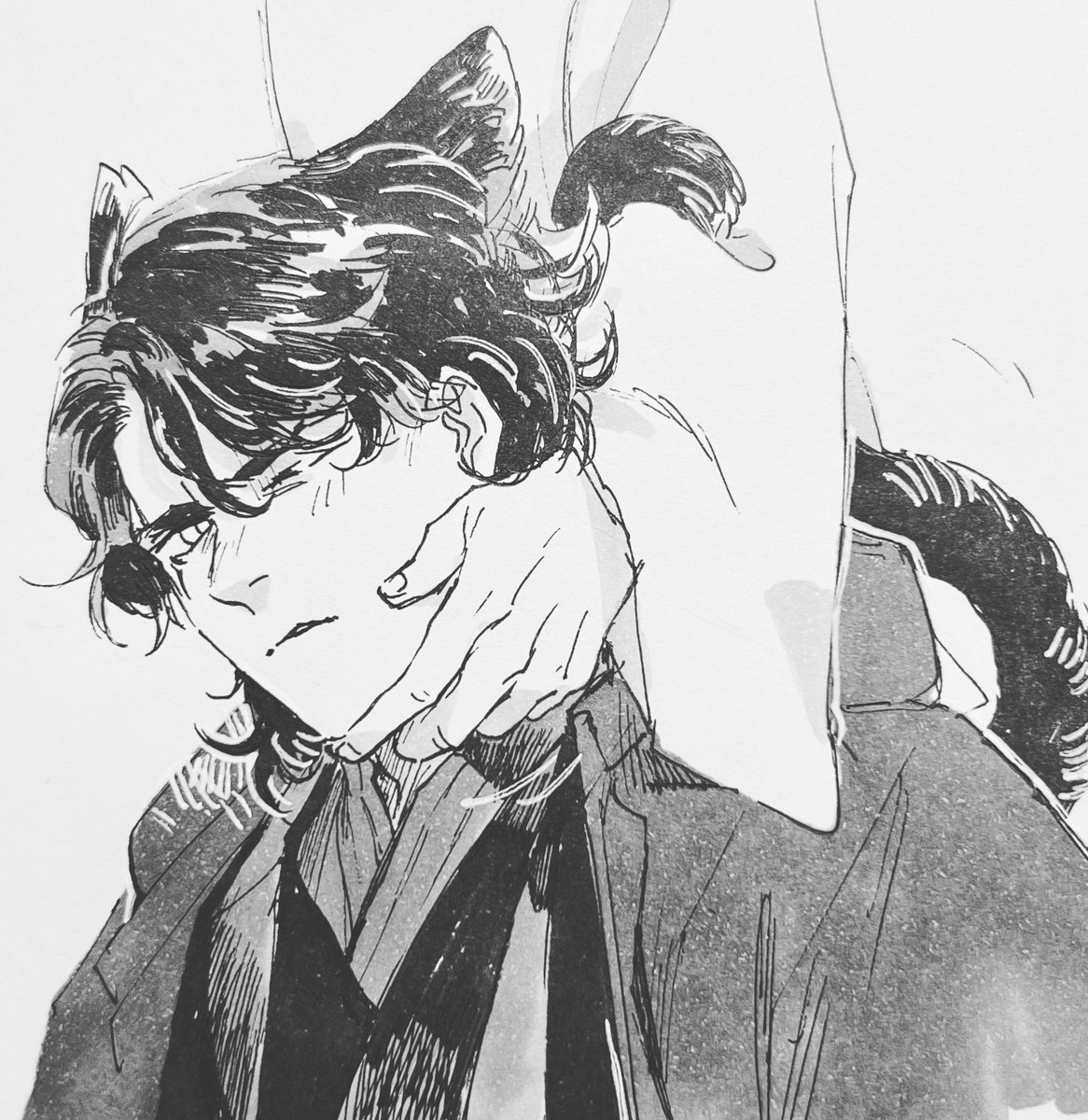 Anakin 猫猫～