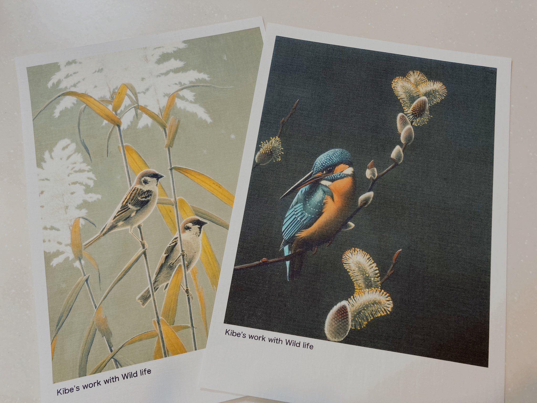 新しいエルメス 野鳥画家「木部一樹」アクリル画 うそ 絵画/タペストリ